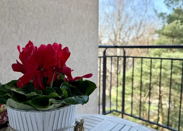 Al-Dom Apartamenty Olymp 302 Kołobrzeg